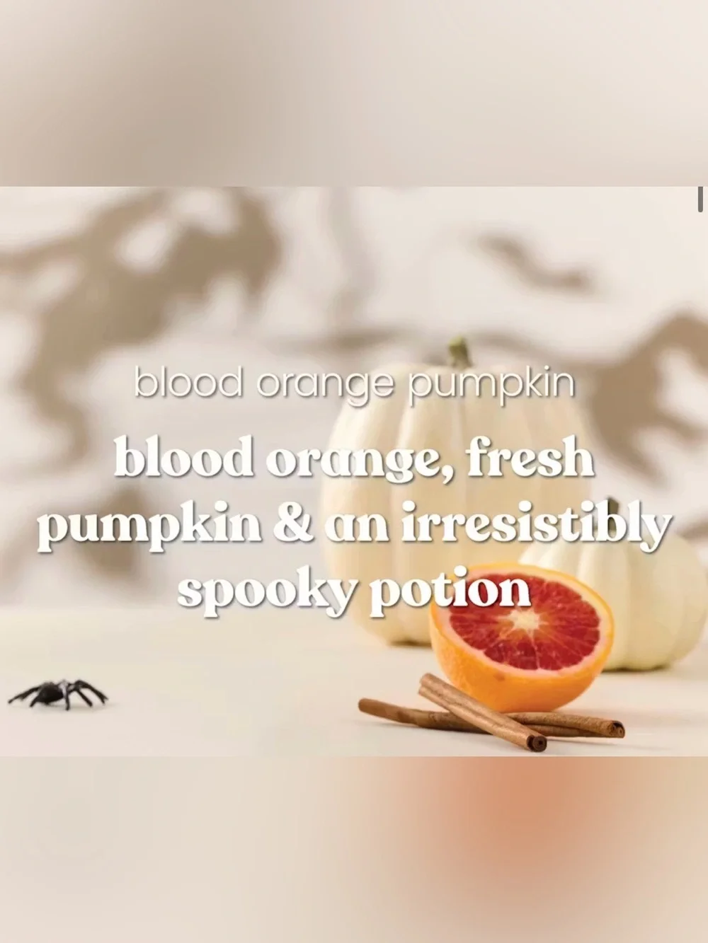 Yankee Candle Blood Orange Pumpkin Fruity fragrance,ginger,clove,nutmeg,cinnamon